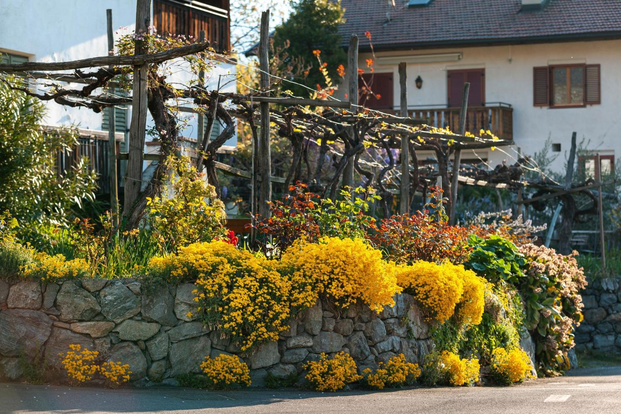 Ferienwohnungen St Hippolyt Mit Hallenbad 라군도 외부 사진