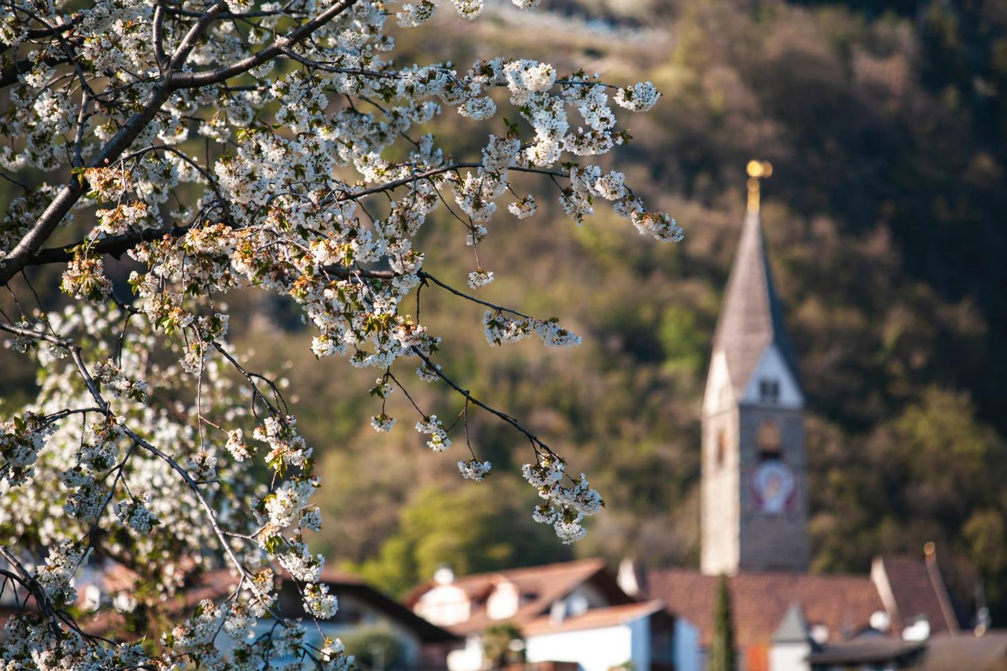 Ferienwohnungen St Hippolyt Mit Hallenbad 라군도 외부 사진